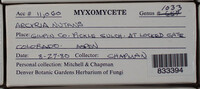Image Associated With the Occurence